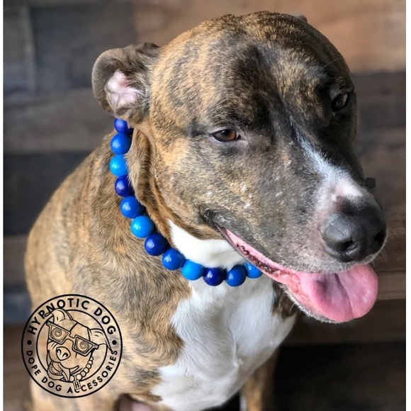 Blue Ombré Wooden Bead Dog Collar - Picture 6 of 9